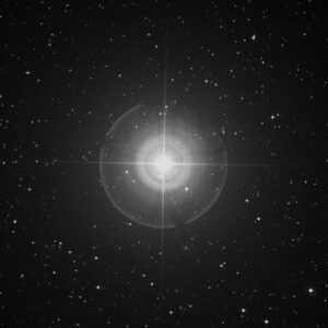 Castor-300x300
