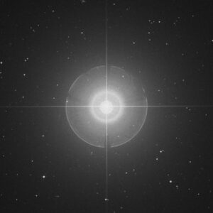 Diphda-300x300